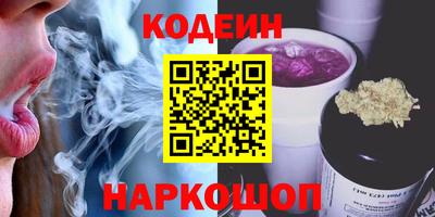 крисы Кингисепп