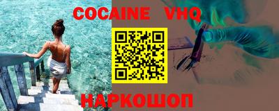 крисы Кингисепп