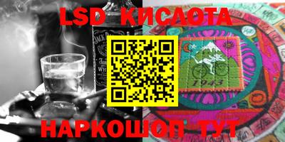 крисы Кингисепп