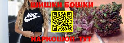 крисы Кингисепп