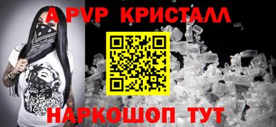 крисы Кингисепп