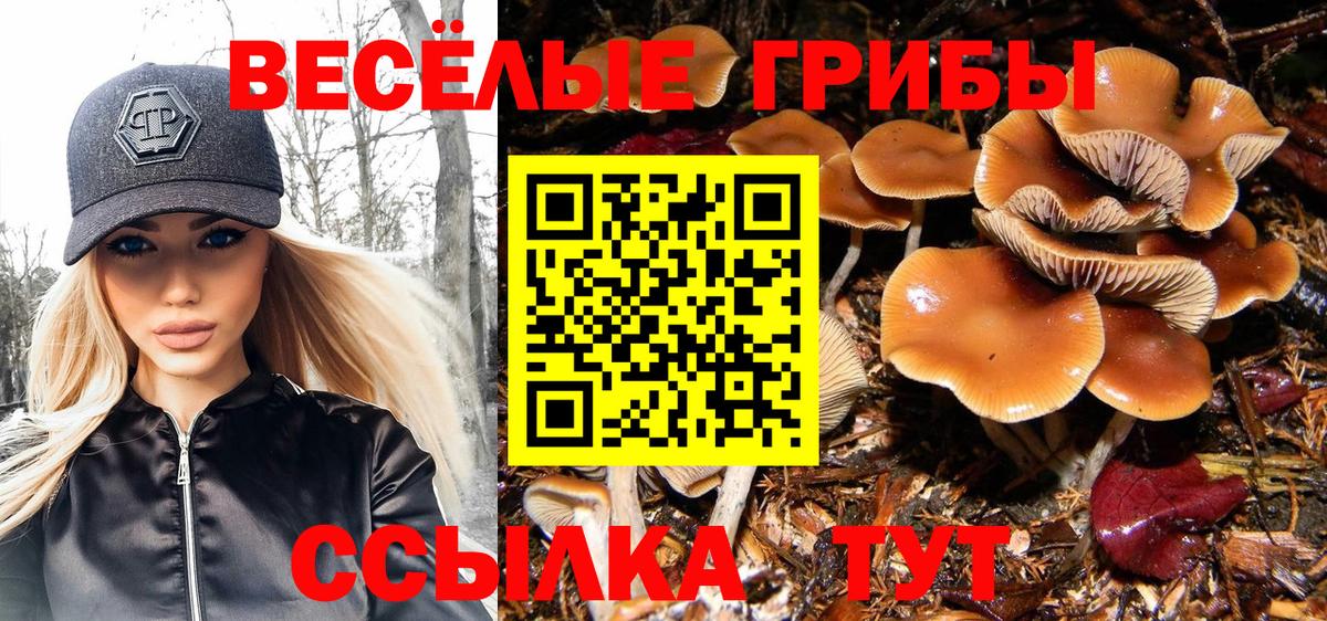 Псилоцибиновые грибы MAGIC MUSHROOMS  Вход с VPN  Туймазы 